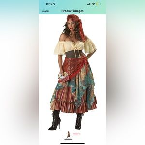 Fortune Teller/Gypsy Halloween Costume, Size L